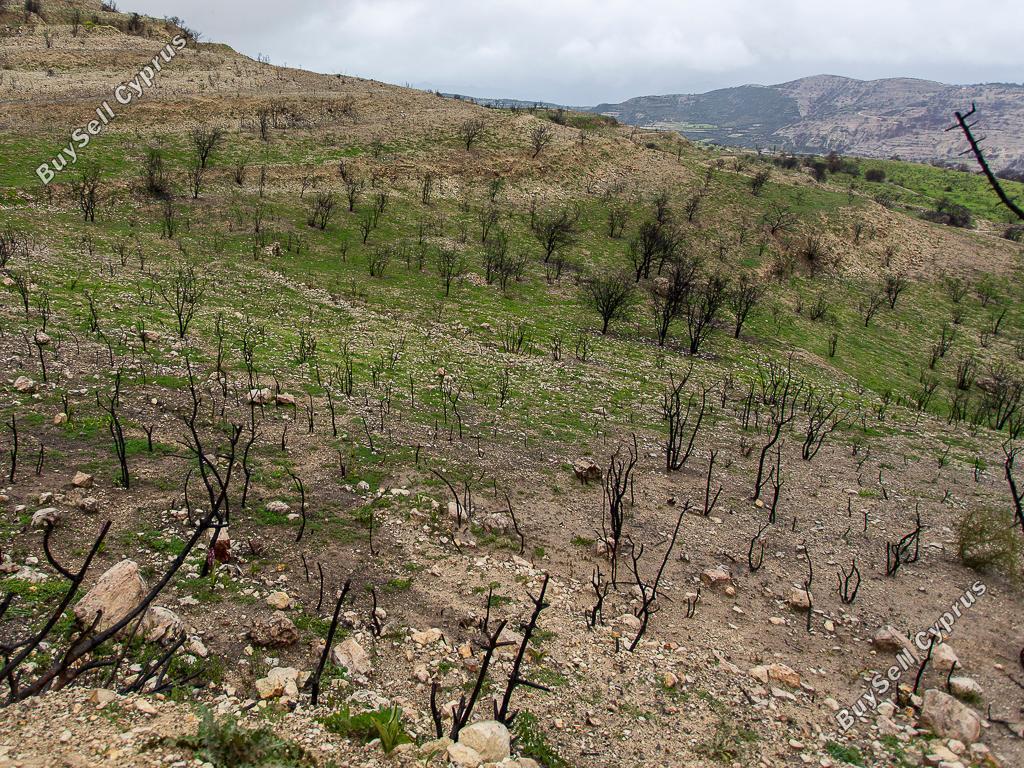 land for sale koilani limassol 8433912 image 15595004