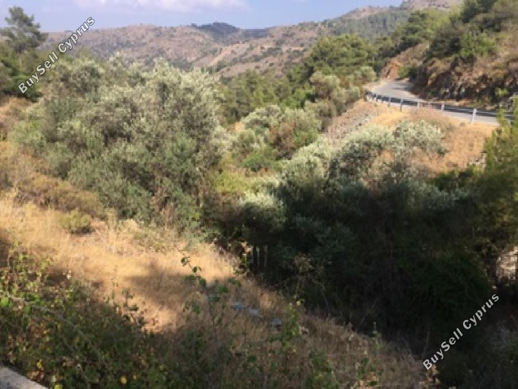 land for sale lazanias nicosia 8412912 image 14909533