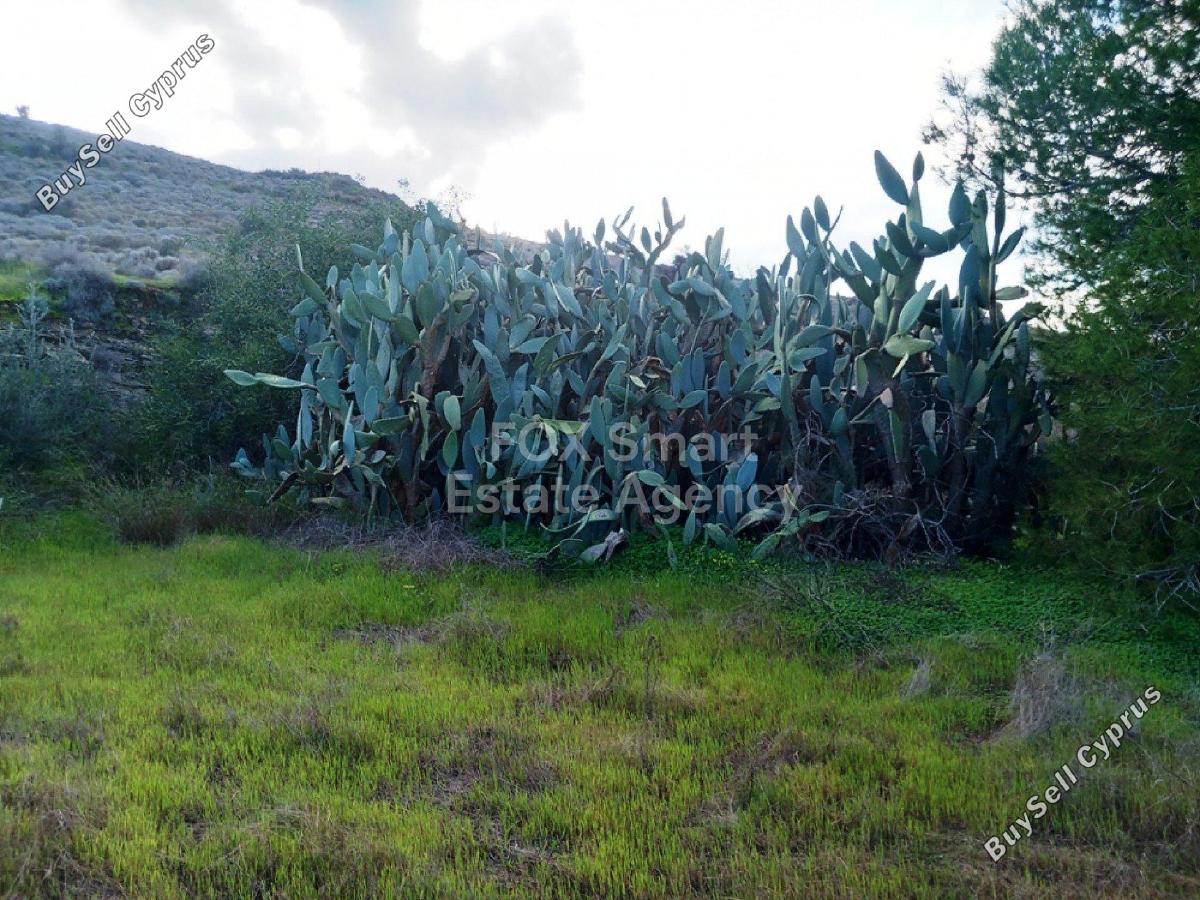 land off market pera chorio nisou nicosia 1151912 image 5144439