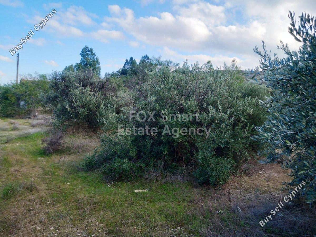 land off market pera chorio nisou nicosia 1151912 image 5144446