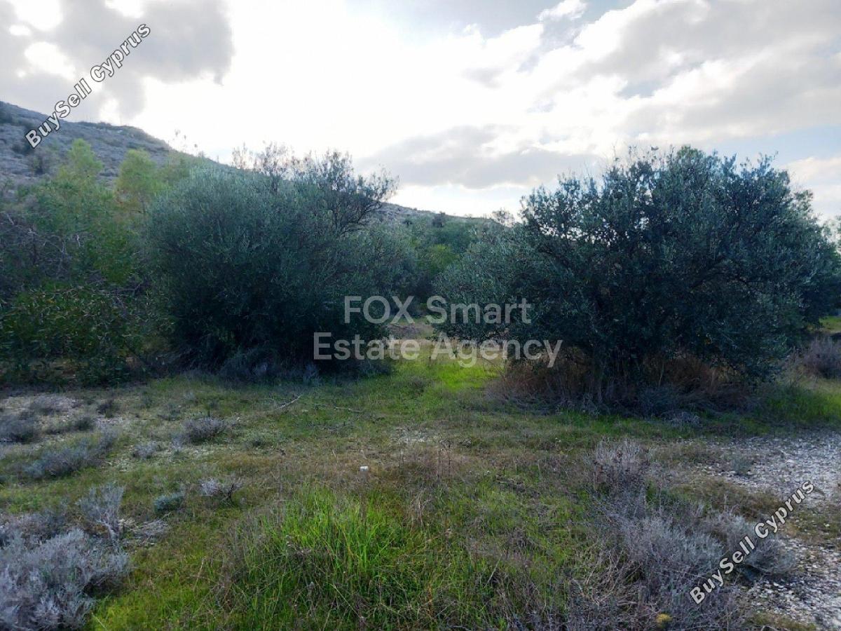 land off market pera chorio nisou nicosia 1151912 image 5144449