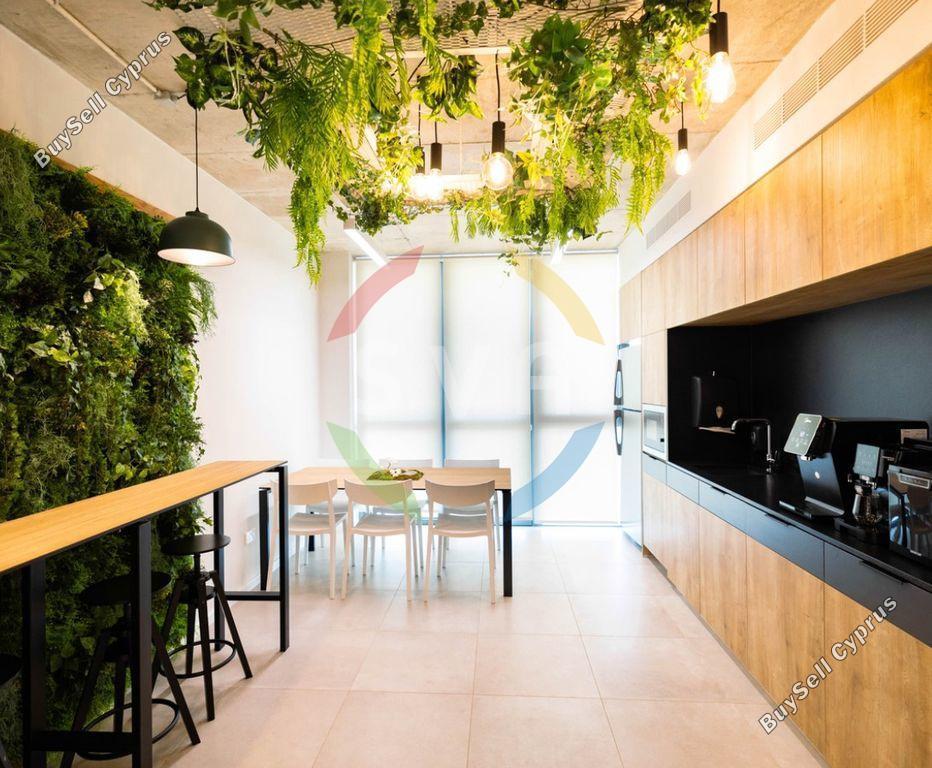 studio office for rent zakaki limassol 1564912 image 6597355
