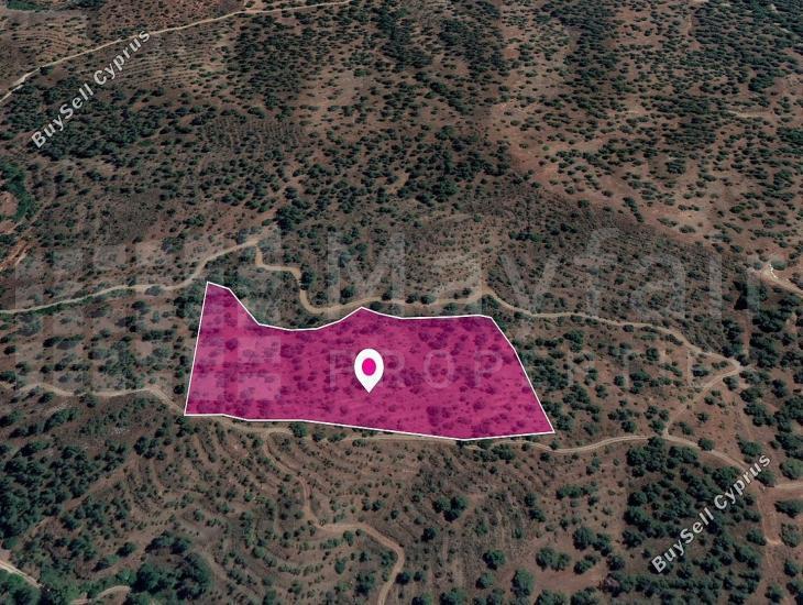 19399 SQM Land for sale in Agios Theodoros Soleas, Nicosia 11383876