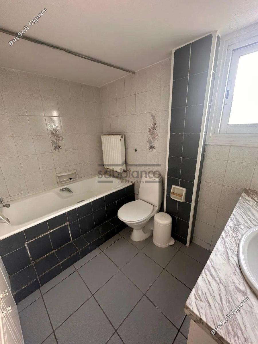 3 bedroom detached house for rent agios dometios nicosia 8740022 image 16377483