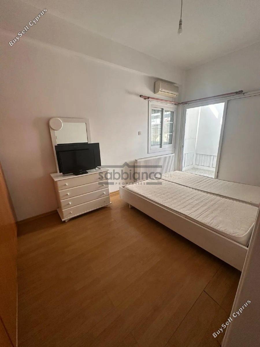 3 bedroom detached house for rent agios dometios nicosia 8740022 image 16377487