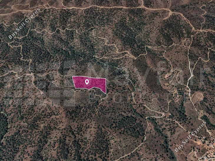land for sale agios theodoros soleas nicosia 7872022 image 11383874