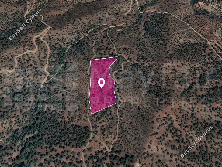 land for sale agios theodoros soleas nicosia 7872022 image 11383875