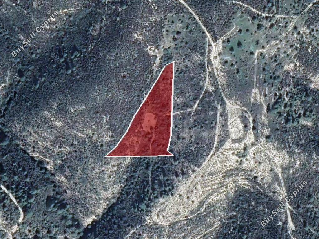 land for sale ora larnaca 1029022 image 15603264