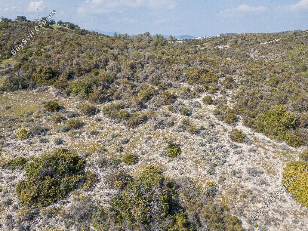 land for sale ora larnaca 1029022 image 15603265