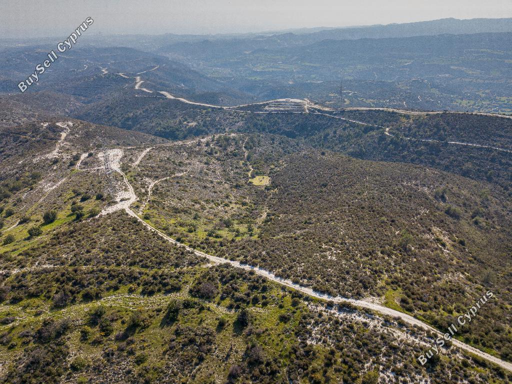 land for sale ora larnaca 1029022 image 15603268