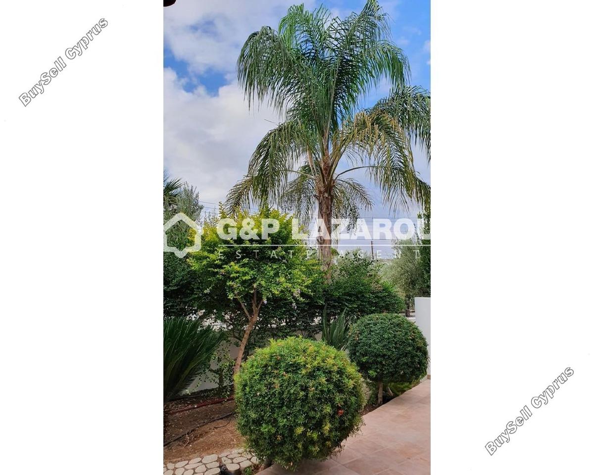 5 bedroom detached house for rent agios dometios nicosia 8602122 image 15754663