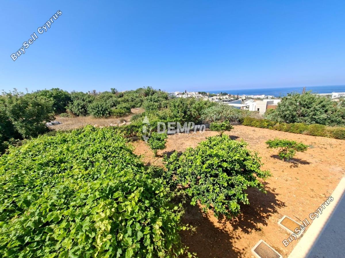 5 bedroom detached house for sale chlorakas paphos 8946122 image 17699288