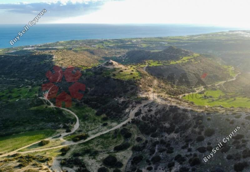 land for sale agios theodoros larnacas larnaca 1648122 image 15839271