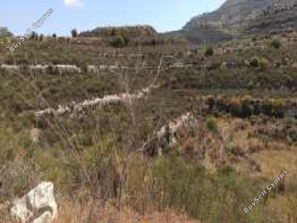 land for sale dora limassol 8716122 image 16294223