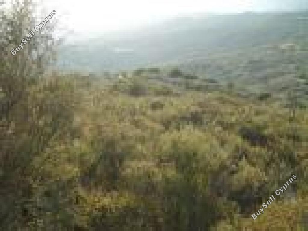 land for sale ora larnaca 7452122 image 9216657