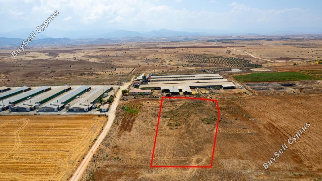 land for sale peristerona lefkosias nicosia 845222 image 3742206