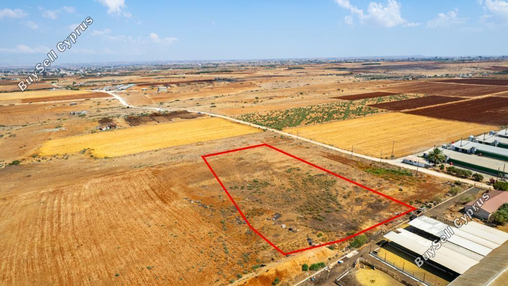 land for sale peristerona lefkosias nicosia 845222 image 3742209