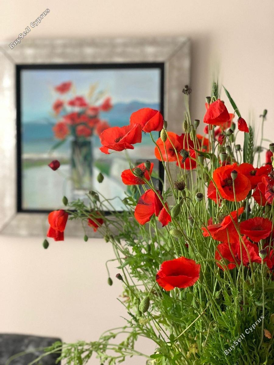 4 bedroom detached house for rent agios athanasios limassol 8785322 image 16649078