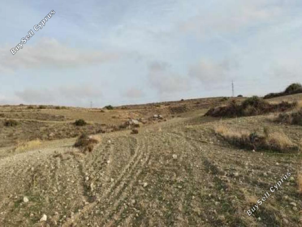 land for sale kato koutrafas nicosia 7980322 image 11622553