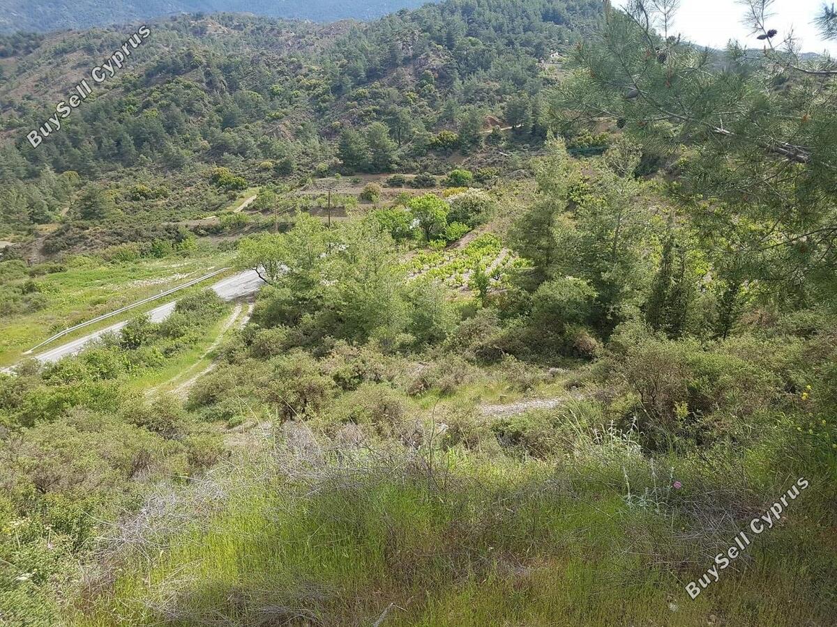 land for sale kato platres limassol 1240322 image 1941189