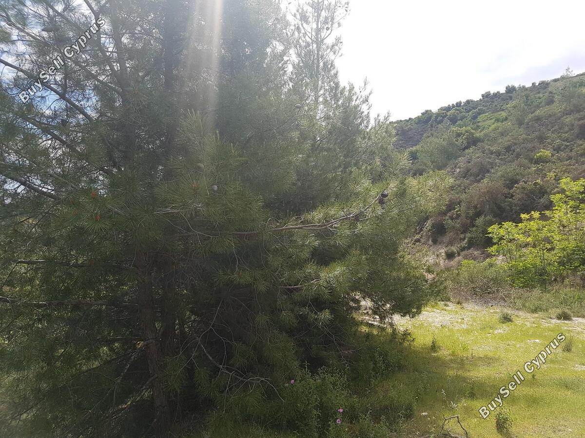 land for sale kato platres limassol 1240322 image 1941190