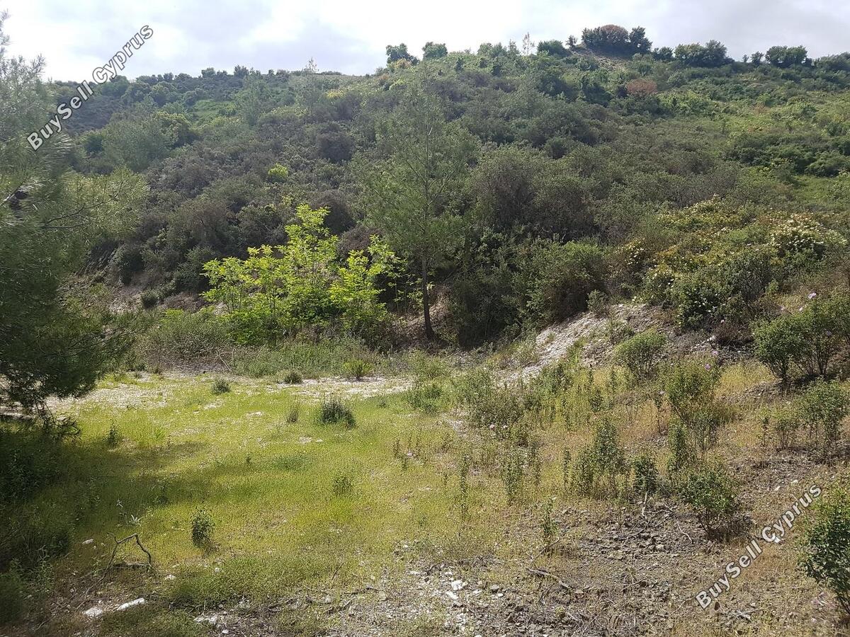 land for sale kato platres limassol 1240322 image 1941191