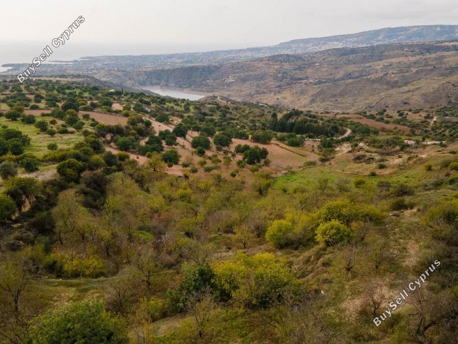 land for sale koili paphos 1354522 image 17936529