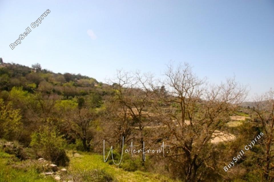 land for sale koili paphos 8959522 image 17782243