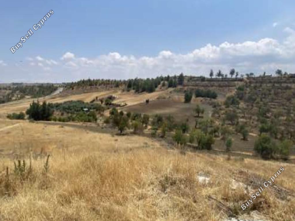 land for sale nikitari nicosia 1041522 image 15602724