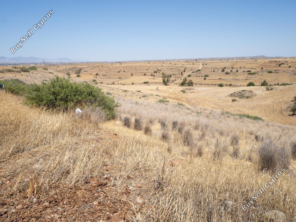 land for sale orounta nicosia 8620522 image 15823803