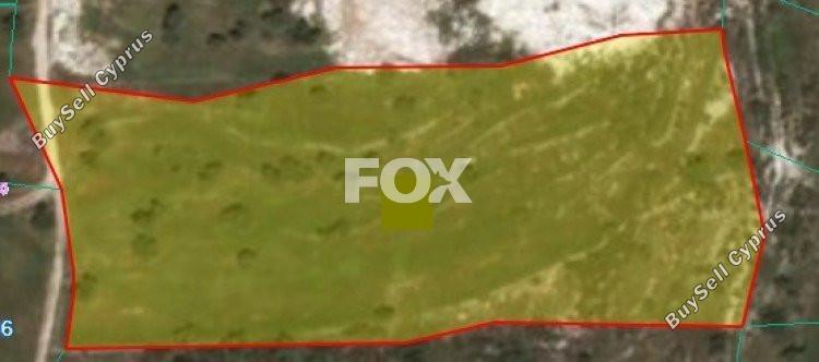 land for sale pachna limassol 1146522 image 5495752