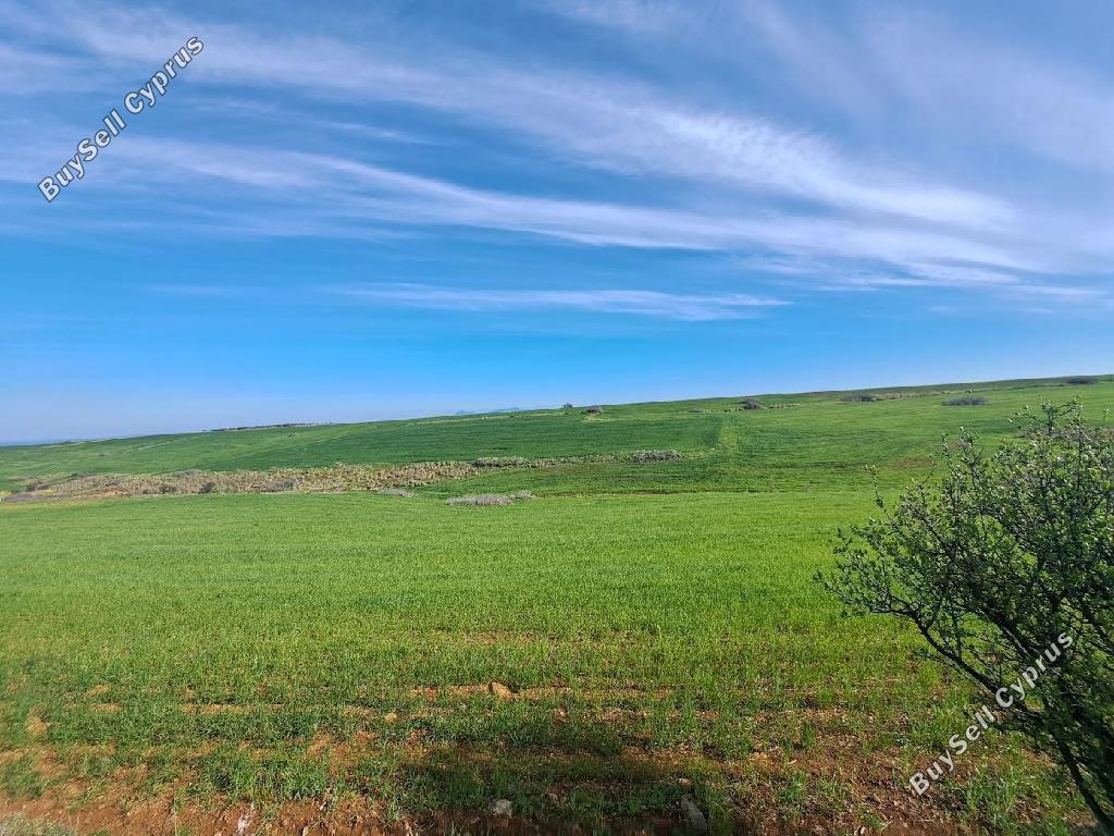 land for sale peristerona lefkosias nicosia 8244522 image 13833346
