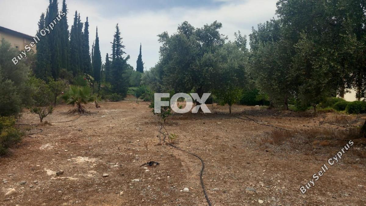 land for sale kouklia pafou paphos 7703622 image 10008813