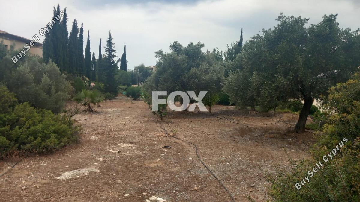 land for sale kouklia pafou paphos 7703622 image 10008814