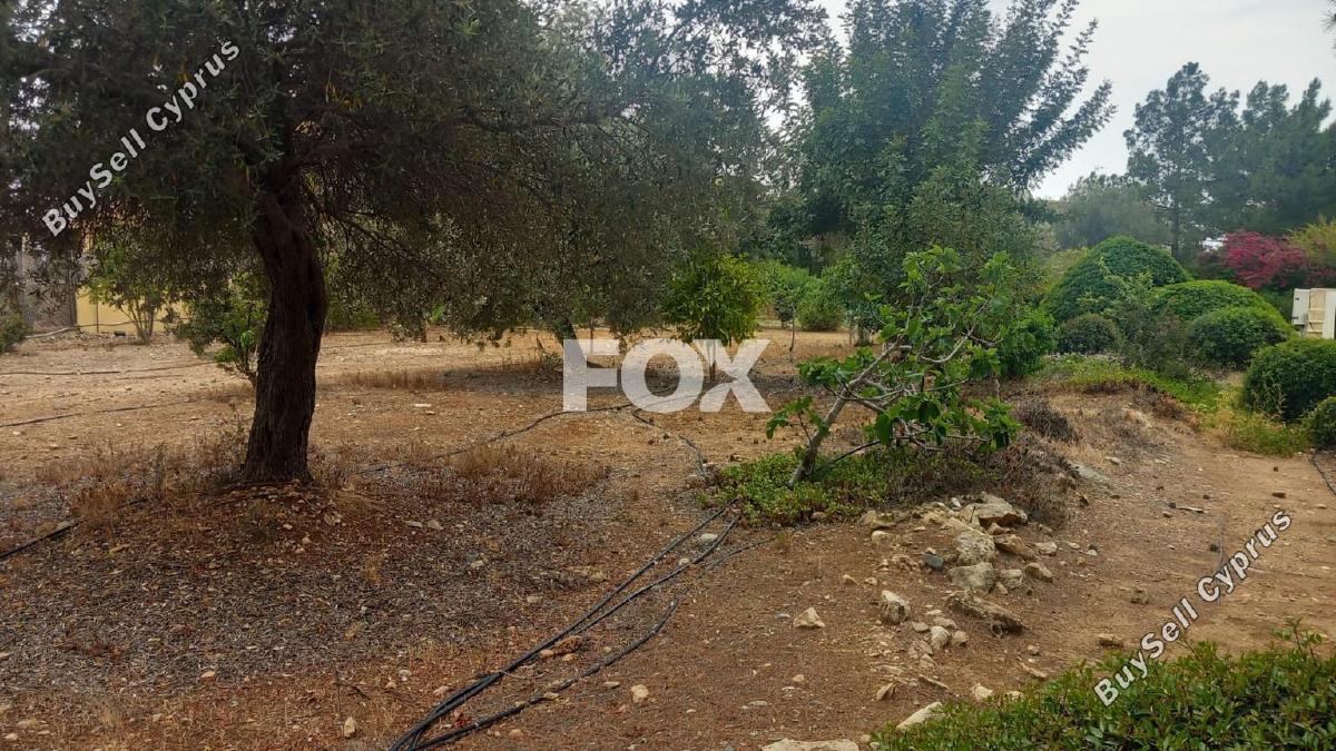 land for sale kouklia pafou paphos 7703622 image 10008815