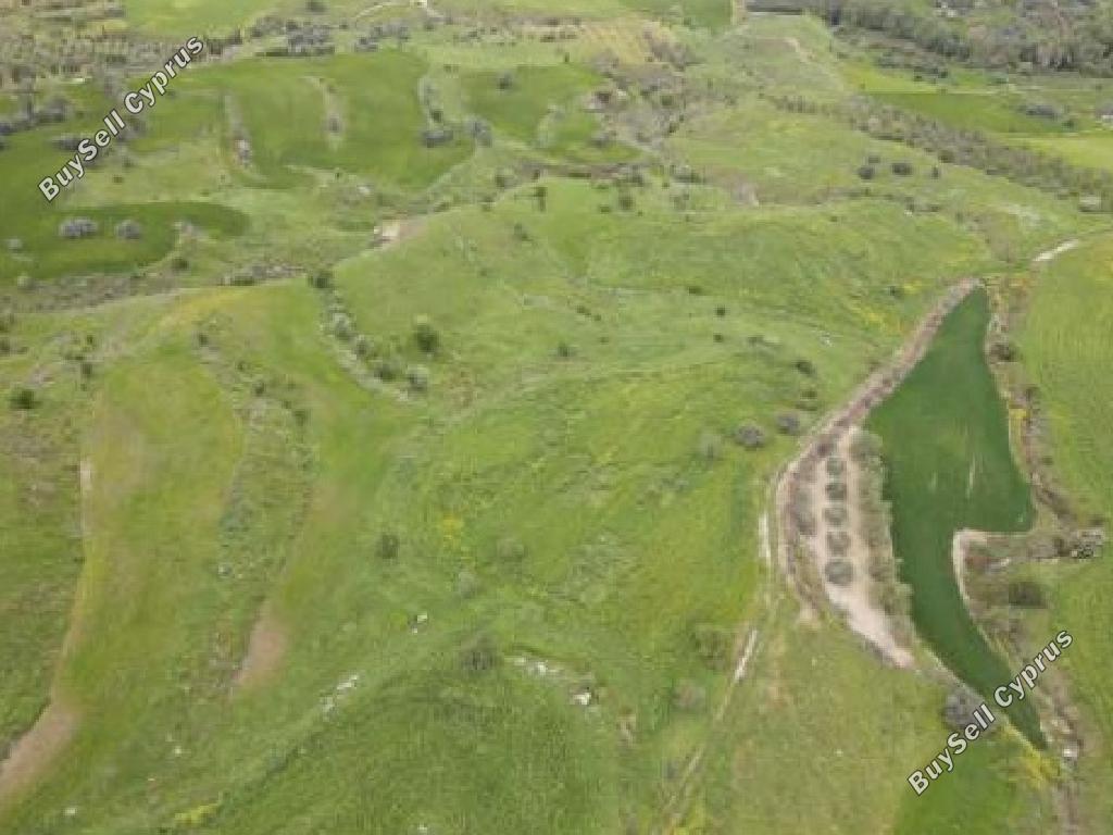 land for sale lasa paphos 1526622 image 15598186