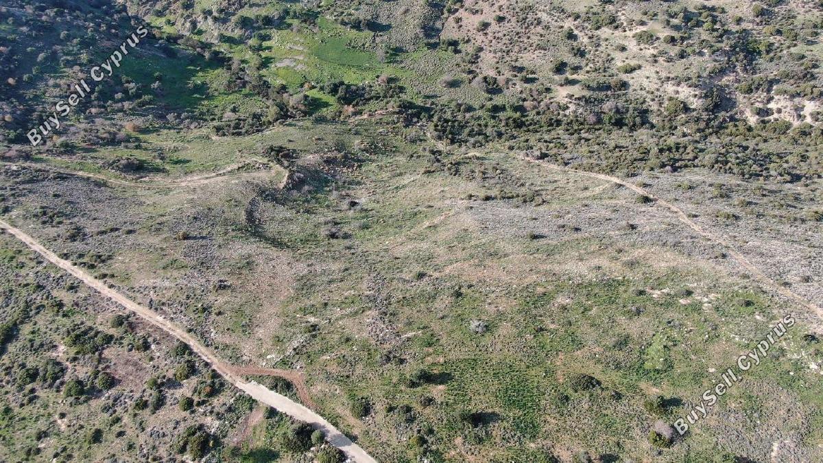 land for sale peyia paphos 8237622 image 14231566