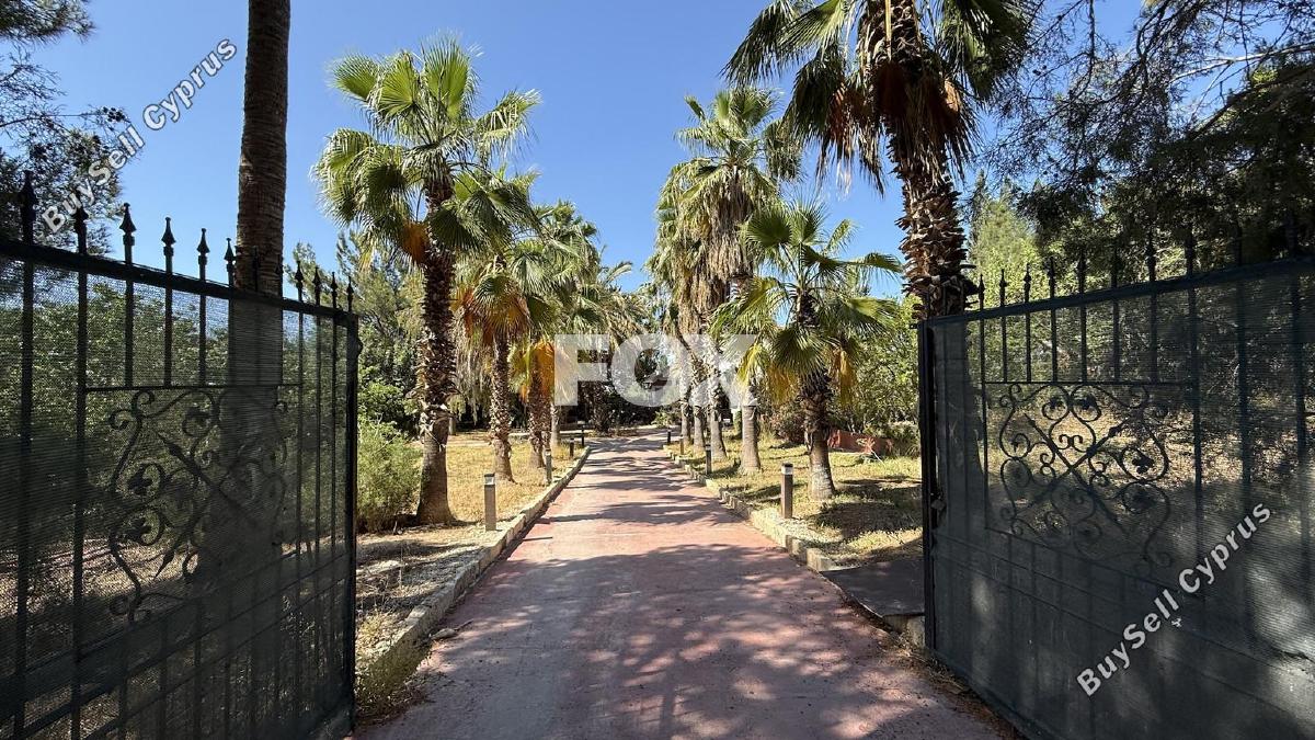 4 bedroom detached house for rent kato polemidia limassol 8771722 image 16579152