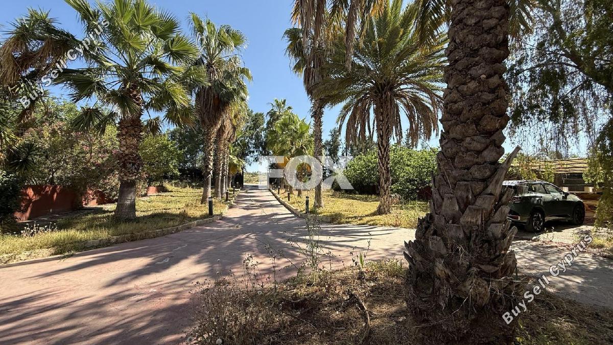 4 bedroom detached house for rent kato polemidia limassol 8771722 image 16579168