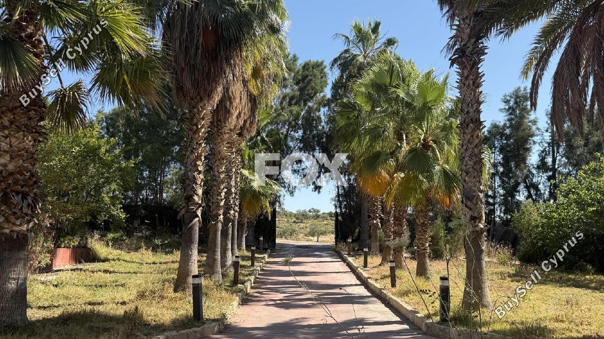 4 bedroom detached house for rent kato polemidia limassol 8771722 image 16579202