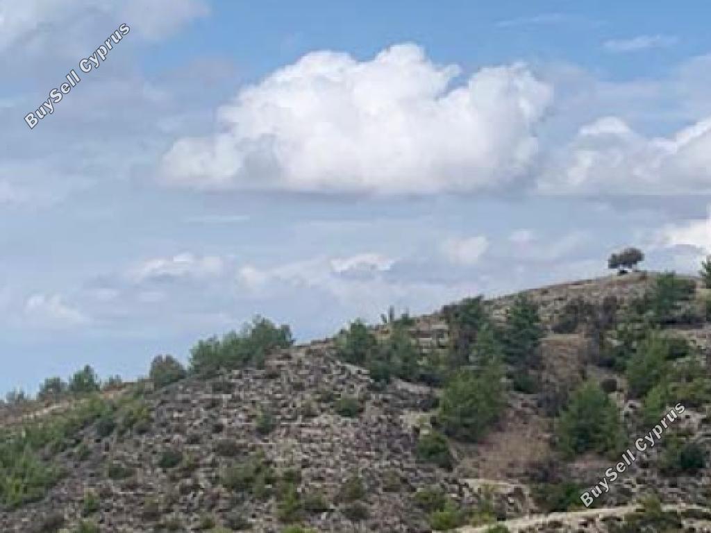 land for sale amargeti paphos 1174722 image 15602023