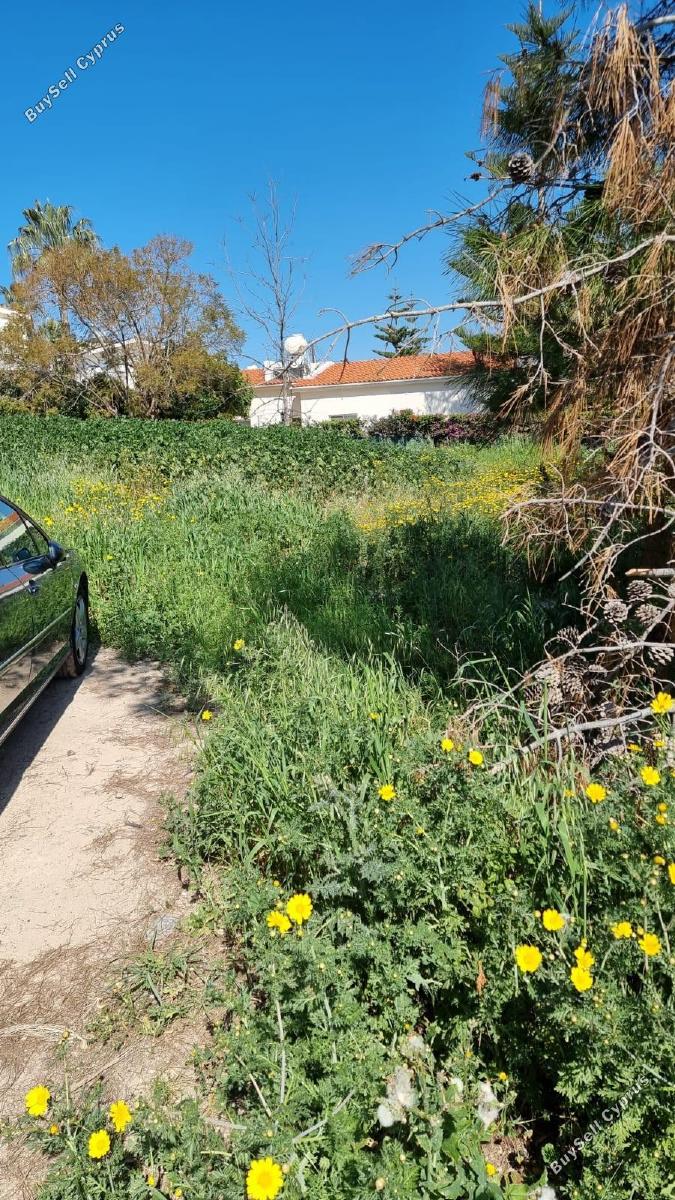 plot for sale coral bay paphos 7546722 image 14374030