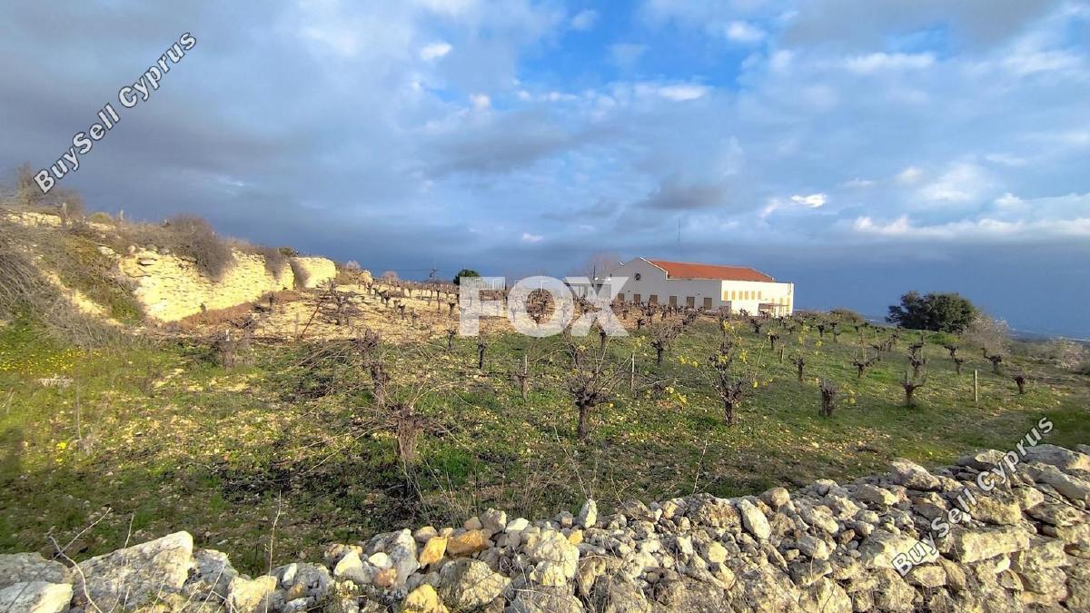 land for sale asgata limassol 1699822 image 5675029