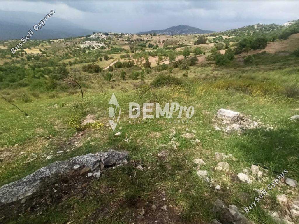 land for sale kelokedara paphos 8126822 image 16296595