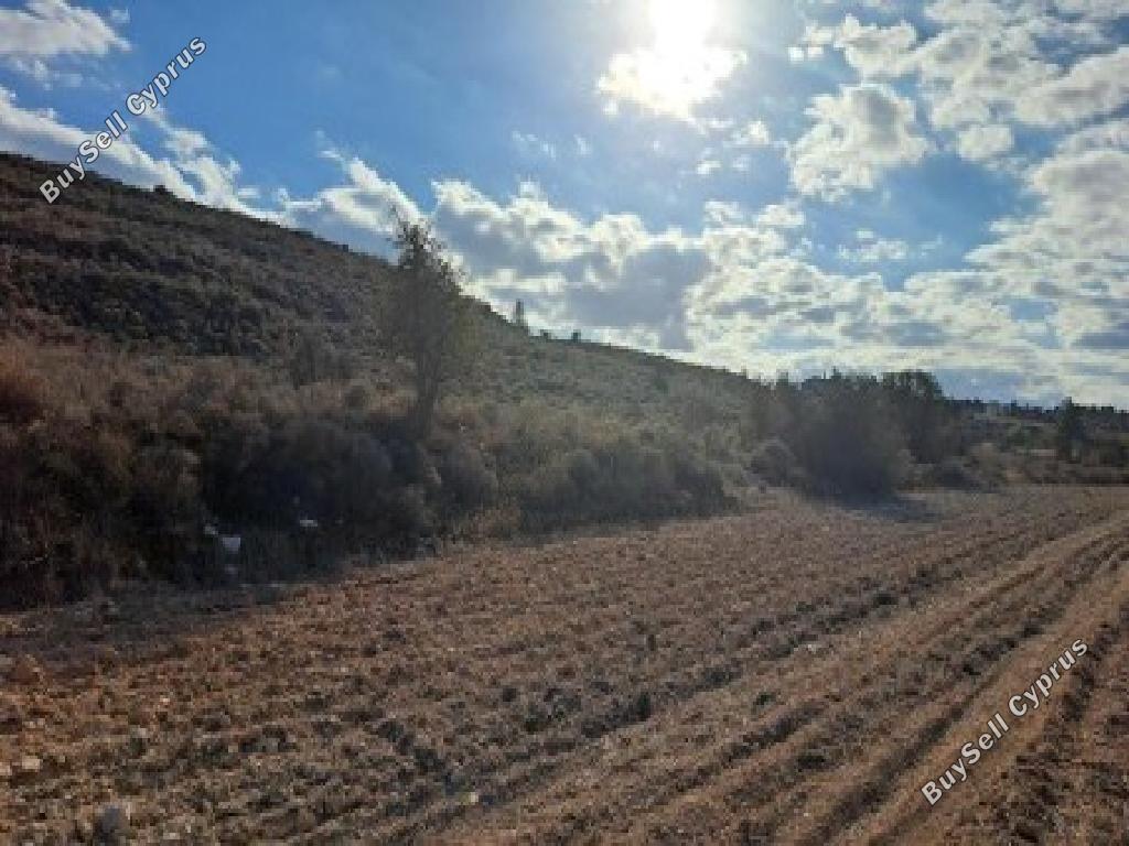 land for sale nisou nicosia 875822 image 17253617