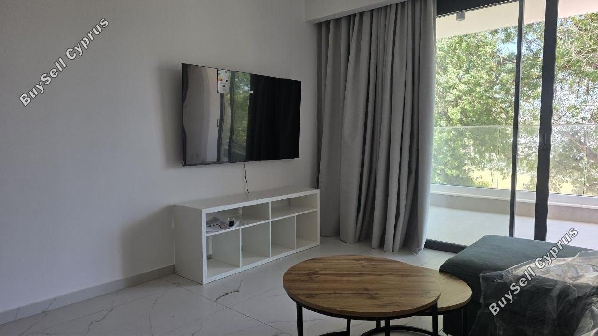 2 bedroom apartment for rent paphos municipality paphos 8765922 image 16569825