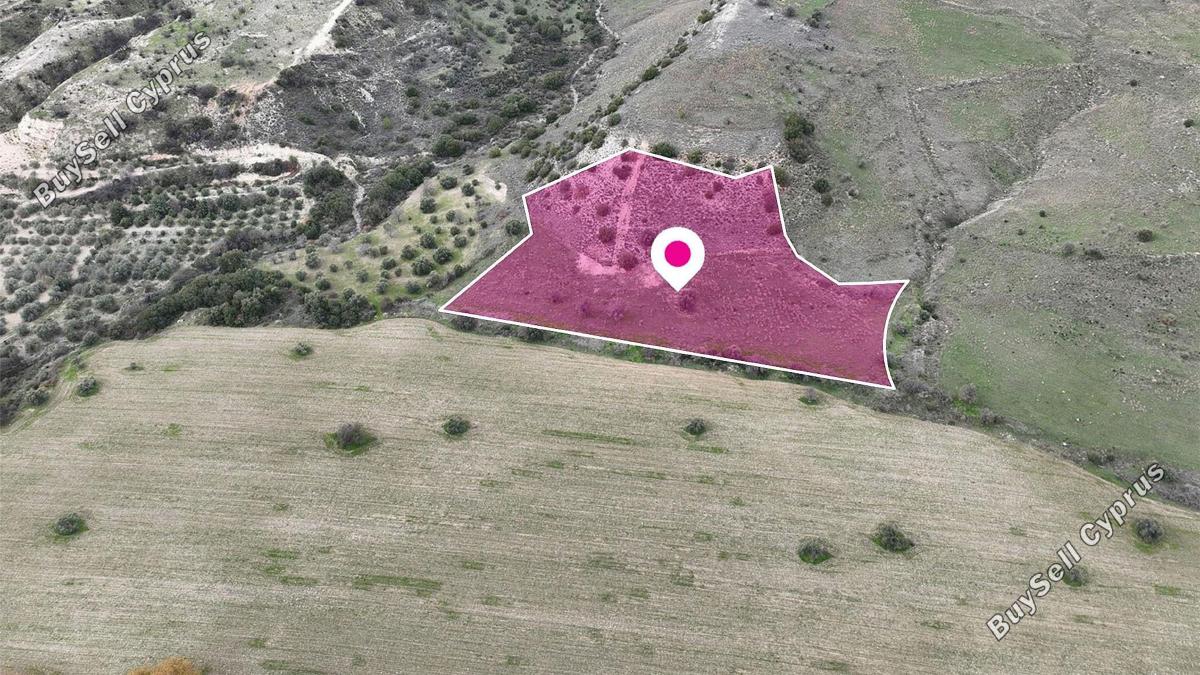land for sale agios dimitrianos paphos 8531922 image 15468688