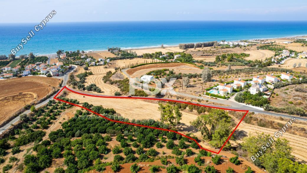 land for sale argaka paphos 1926922 image 9695220