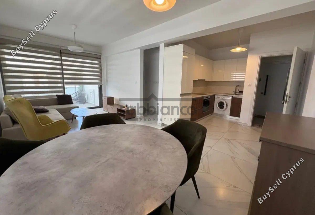 1 bedroom apartment for rent dasoupoli nicosia 8743032 image 16410202