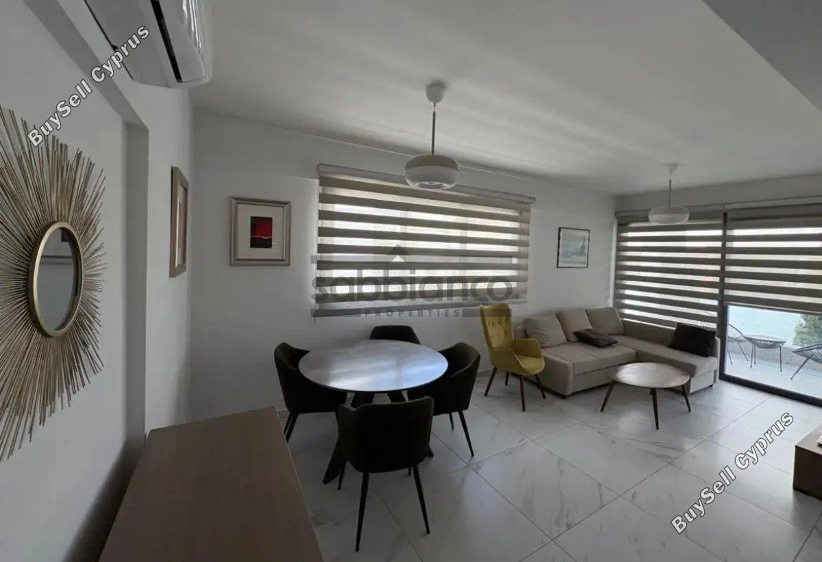 1 bedroom apartment for rent dasoupoli nicosia 8743032 image 16410210